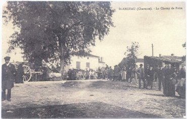 Champ de foire à la volaille